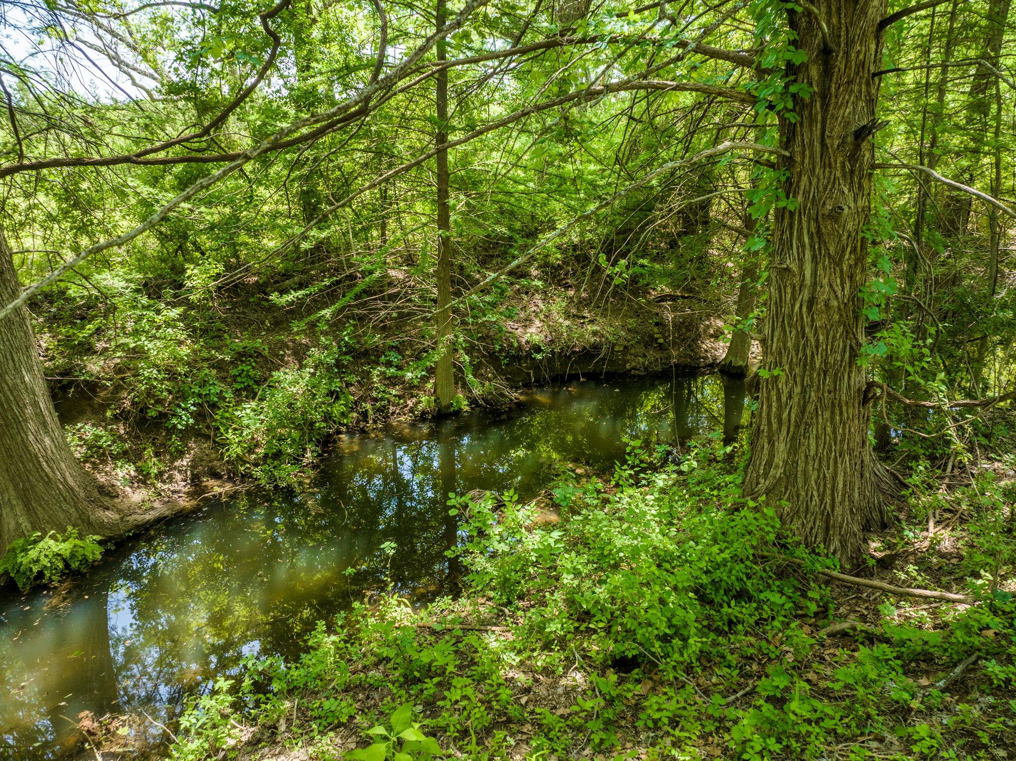 Spicewood, Texas, 78669, United States, 4 Bedrooms Bedrooms, ,3 BathroomsBathrooms,Residential,Active,1987243