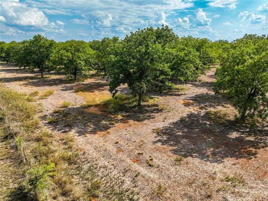 TRACT 2 FM 1784 CALL 93, PLEASANTON, TX 78064, photo 3 of 11