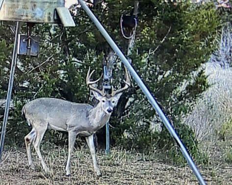 Spicewood, Texas, 78669, United States, ,3 BathroomsBathrooms,Residential,Active,1832331