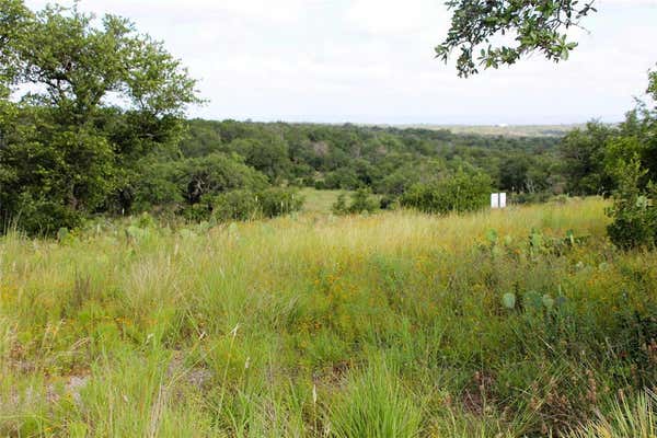 LOT 5 COMANCHE RDG, ROUND MOUNTAIN, TX 78663 - Image 1