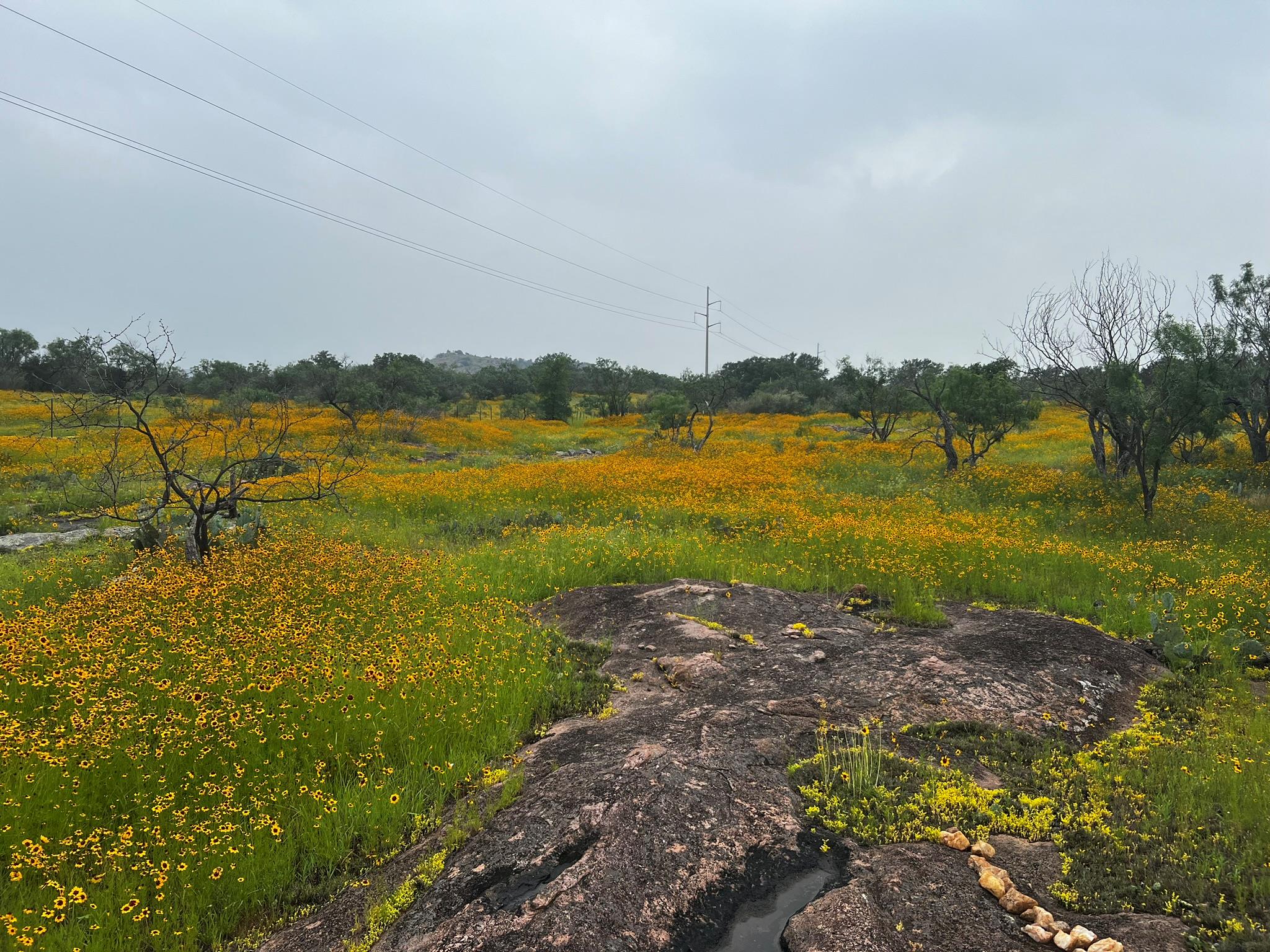 Burnet, Texas, 78611, United States, 2 Bedrooms Bedrooms, ,3 BathroomsBathrooms,Residential,Active,1989785