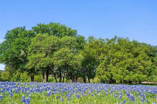 27132 FOUNDERS PL, SPICEWOOD, TX 78669, photo 3 of 25