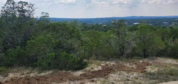 2409 PACE BEND RD S, SPICEWOOD, TX 78669 - Image 1