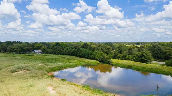 TBD FM 1362 N - 38 ACRES, CALDWELL, TX 77836 - Image 1