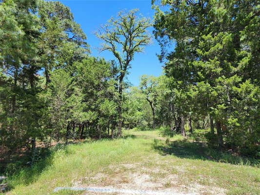 124 WRANGLER LN, SMITHVILLE, TX 78957, photo 2 of 12