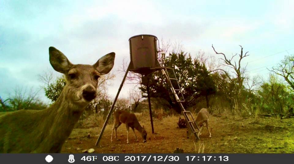 Burnet, Texas, 78611, United States, 2 Bedrooms Bedrooms, ,3 BathroomsBathrooms,Residential,Active,1989785