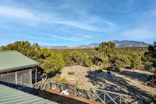 38 ESCONDIDO WAY, QUEMADO, NM 87829, photo 3 of 38