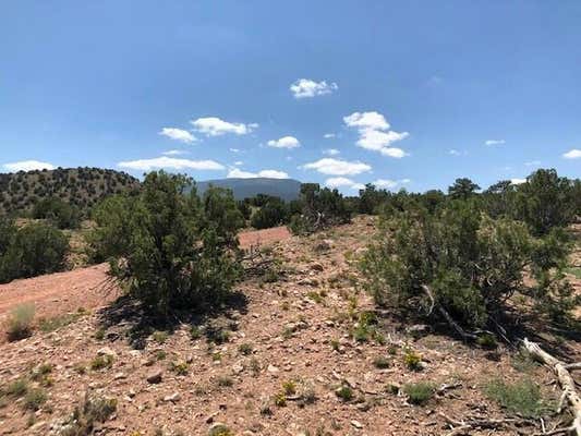 2B CAMINO DEL CUERVO, PLACITAS, NM 87043, photo 2 of 26