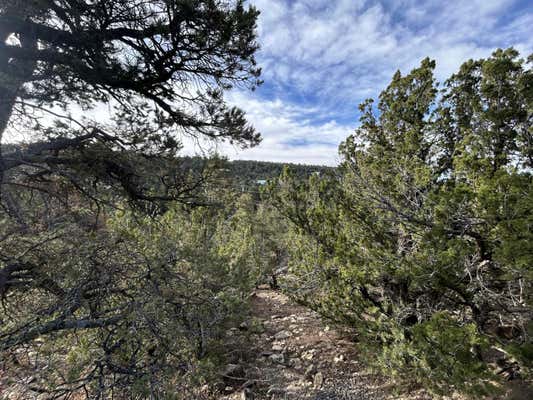 LOST VALLEY LOOP, CEDAR CREST, NM 87008 - Image 1