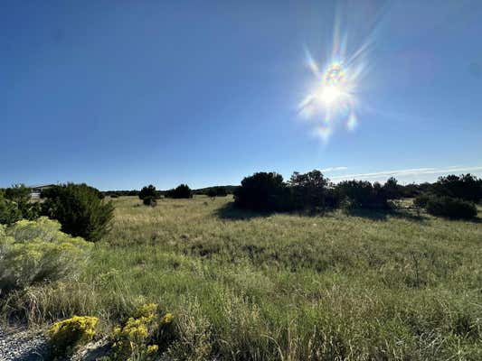 LOT 29 BLOCK 3, EDGEWOOD, NM 87016 - Image 1