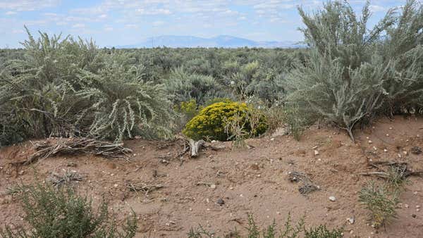 VL LOT 55,56 BLOCK 1203 RGE # T, BELEN, NM 87002 - Image 1