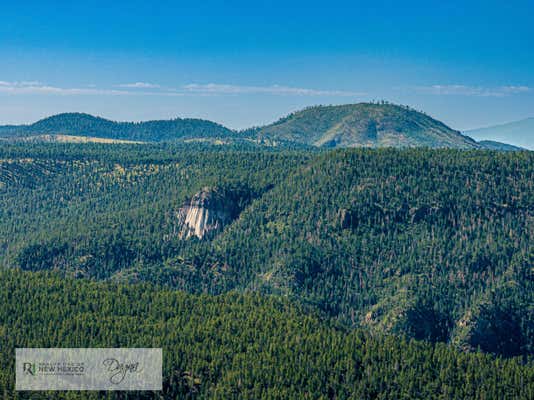 VISTA GRANDE TRACTS 1 & 2, JEMEZ SPRINGS, NM 87025 - Image 1