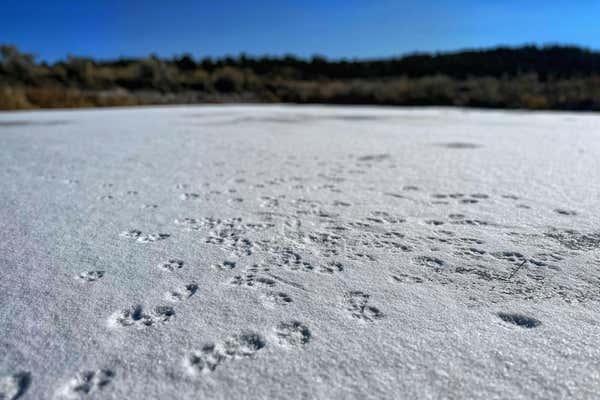 0 HWY 303 ROAD, TIERRA AMARILLA, NM 87575, photo 5 of 47