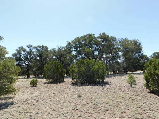 LOTS 13 & N COYOTE TRAIL, QUEMADO, NM 87829 - Image 1