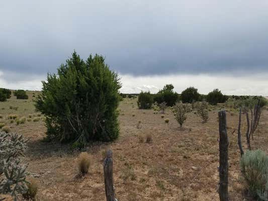 FLATTOP ROAD, MOUNTAINAIR, NM 87036, photo 4 of 8