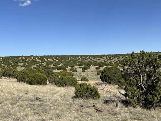 43 PINON SPRINGS RD, MAGDALENA, NM 87825 - Image 1