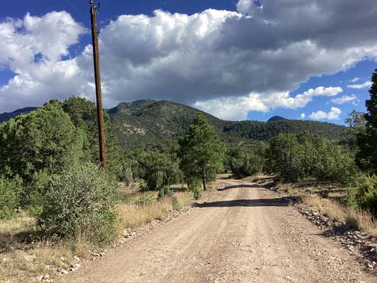 19.81 AC LOWER PATTERSON CANYON, MAGDALENA, NM 87825, photo 2 of 13