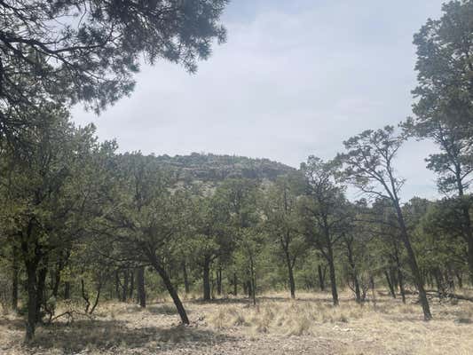 30 HOP CANYON RD, MAGDALENA, NM 87825 - Image 1