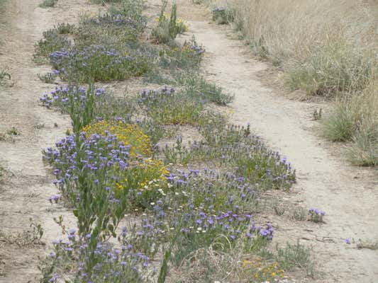 CANYON ROAD, LAGUNA, NM 87026 - Image 1