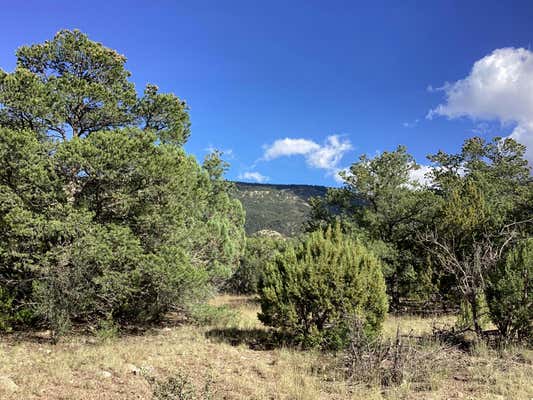 19.81 AC LOWER PATTERSON CANYON, MAGDALENA, NM 87825, photo 4 of 13