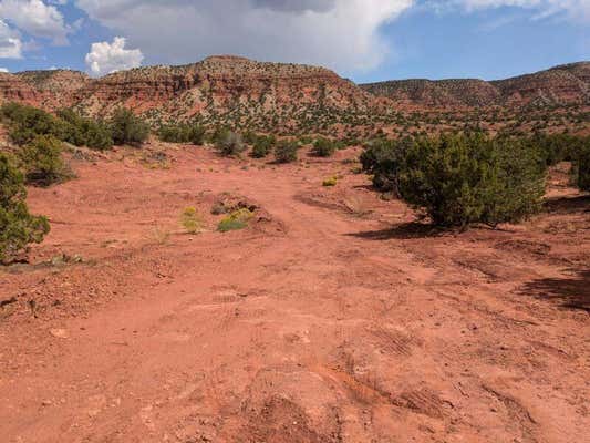 LOT 5A VISTA HERMOSA, JEMEZ PUEBLO, NM 87024 - Image 1