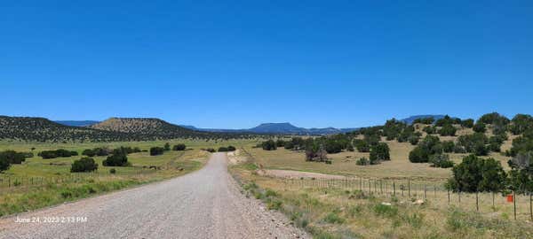 LOT 5 OLD THOMAS PLACE UNIT, DATIL, NM 87821 - Image 1