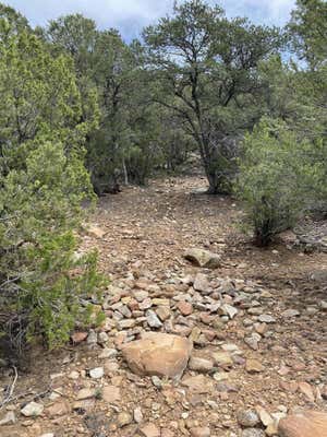 SHASTA COURT, CEDAR CREST, NM 87008 - Image 1