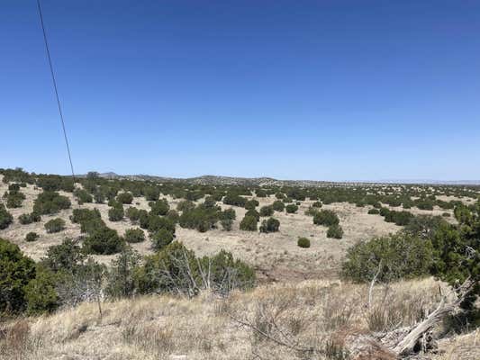 55 PINON SPRINGS RD, MAGDALENA, NM 87825 - Image 1