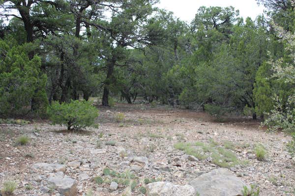 3 MANZANO LOOP, TIJERAS, NM 87059 - Image 1