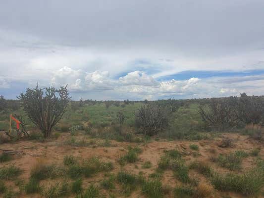 32ND STREET NW, RIO RANCHO, NM 87124, photo 3 of 6