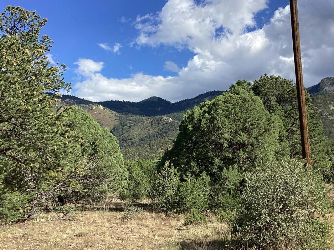 19.81 AC LOWER PATTERSON CANYON, MAGDALENA, NM 87825, photo 1 of 13