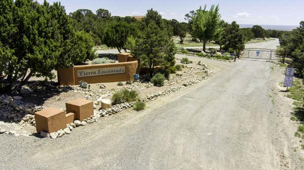 36 CAMINO MONTE AZUL, EDGEWOOD, NM 87015 - Image 1