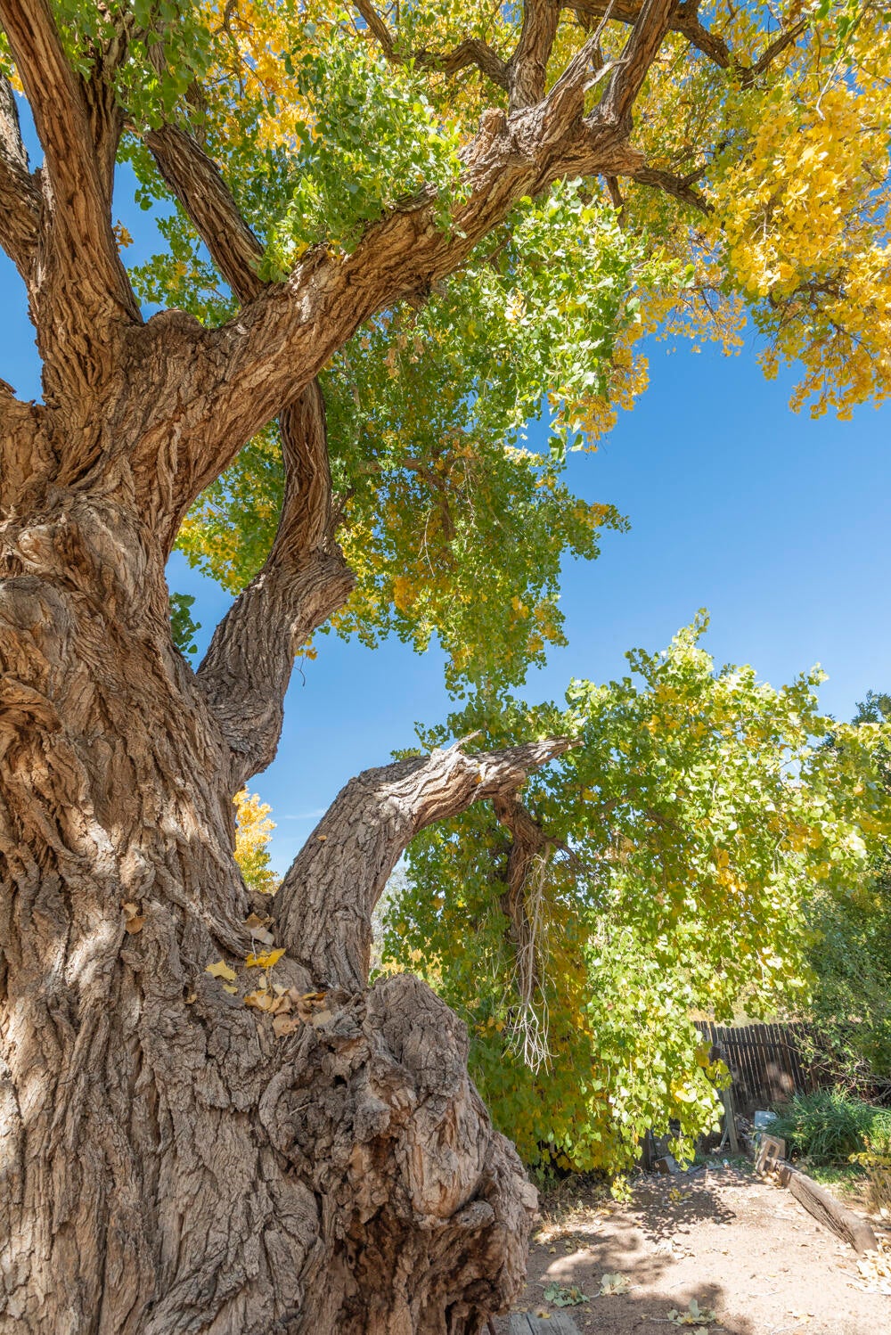 Albuquerque, New Mexico, 87107, United States, 4 Bedrooms Bedrooms, ,4 BathroomsBathrooms,Residential,Pending,2007350