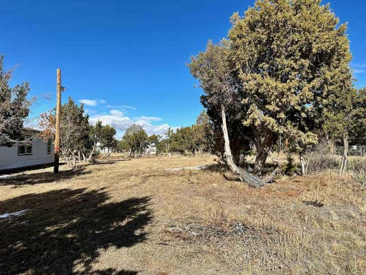 306 WEST SIDE CITY LIMIT RD S, MOUNTAINAIR, NM 87036, photo 2 of 25