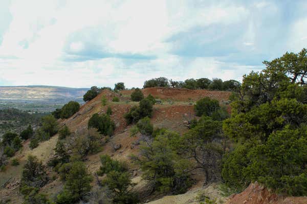 TBD 200 VALLECITOS ROAD ROAD, CUBA, NM 87013 - Image 1