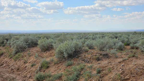 VL LOT 25 BLOCK 1046 RGE # J, BELEN, NM 87002 - Image 1