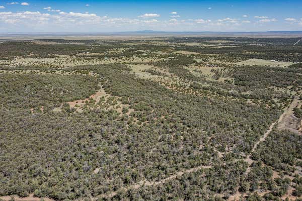 CAMINO DEL NORTE, ESTANCIA, NM 87016 - Image 1