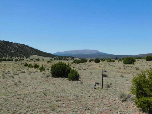 70 AC S COYOTE TRAIL, QUEMADO, NM 87829 - Image 1