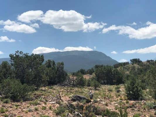 2B CAMINO DEL CUERVO, PLACITAS, NM 87043, photo 5 of 26