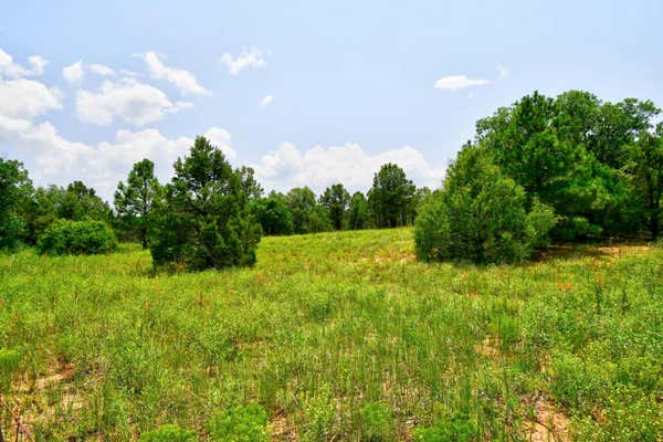 10281 NM 337, TIJERAS, NM 87059, photo 3 of 12