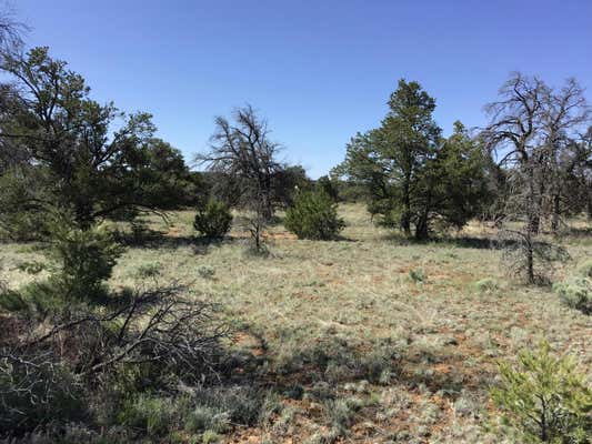 LOT 206E MEADOW DRIVE, RAMAH, NM 87321 - Image 1