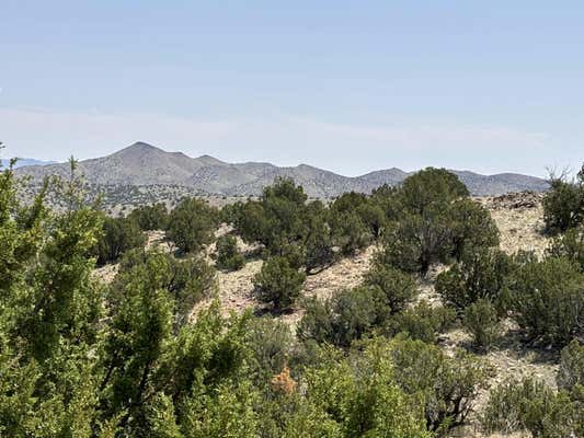 LOT 13 ABBE SPRINGS RANCHES, MAGDALENA, NM 87825 - Image 1