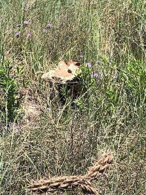 FROST ROAD NE, SANDIA PARK, NM 87047, photo 3 of 3