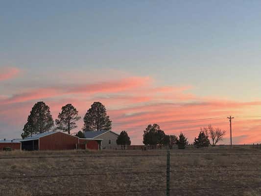 100 S METZGER RD, ESTANCIA, NM 87016 - Image 1