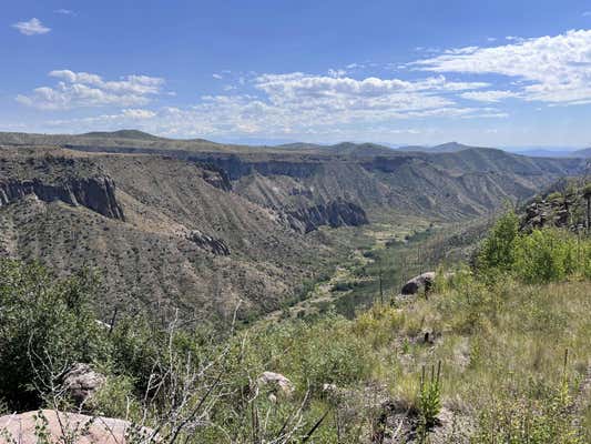 995 FOREST ROAD 268, JEMEZ SPRINGS, NM 87025 - Image 1