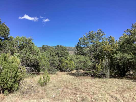 19.81 AC LOWER PATTERSON CANYON, MAGDALENA, NM 87825, photo 3 of 13