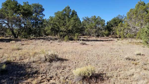 LOT 5 MISTY LANE, RAMAH, NM 87321 - Image 1