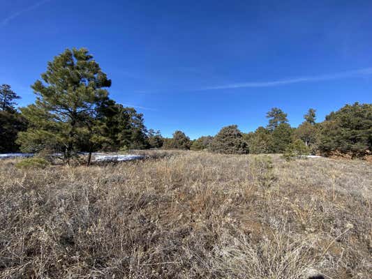 10904 NM 337, TIJERAS, NM 87059 - Image 1