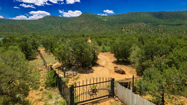 90 METZGER, SAN JOSE, NM 87565 - Image 1