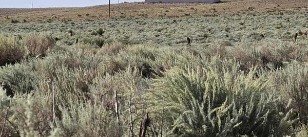 VL TG LOT 3 LOT 4 BLOCK 22 # 10, SOCORRO, NM 87801 - Image 1